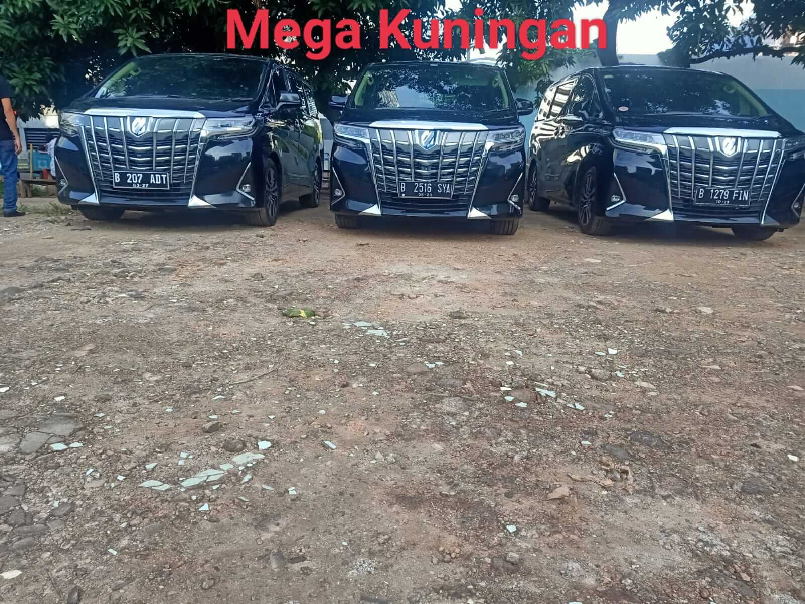 rental mobil murah